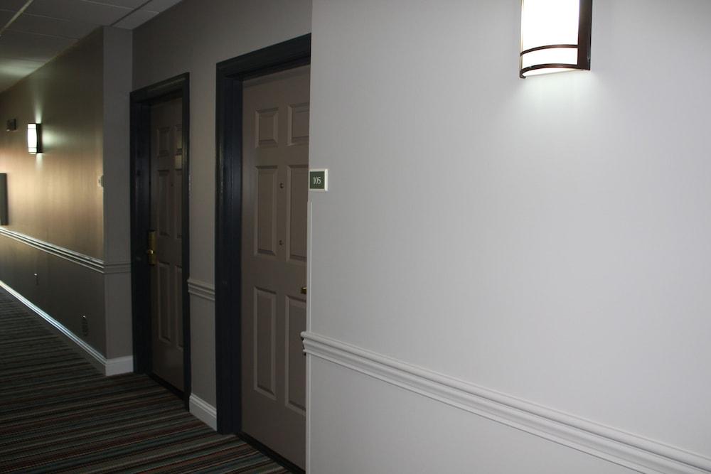 Country Inn & Suites By Radisson, Tampa Airport North, Fl Bagian luar foto