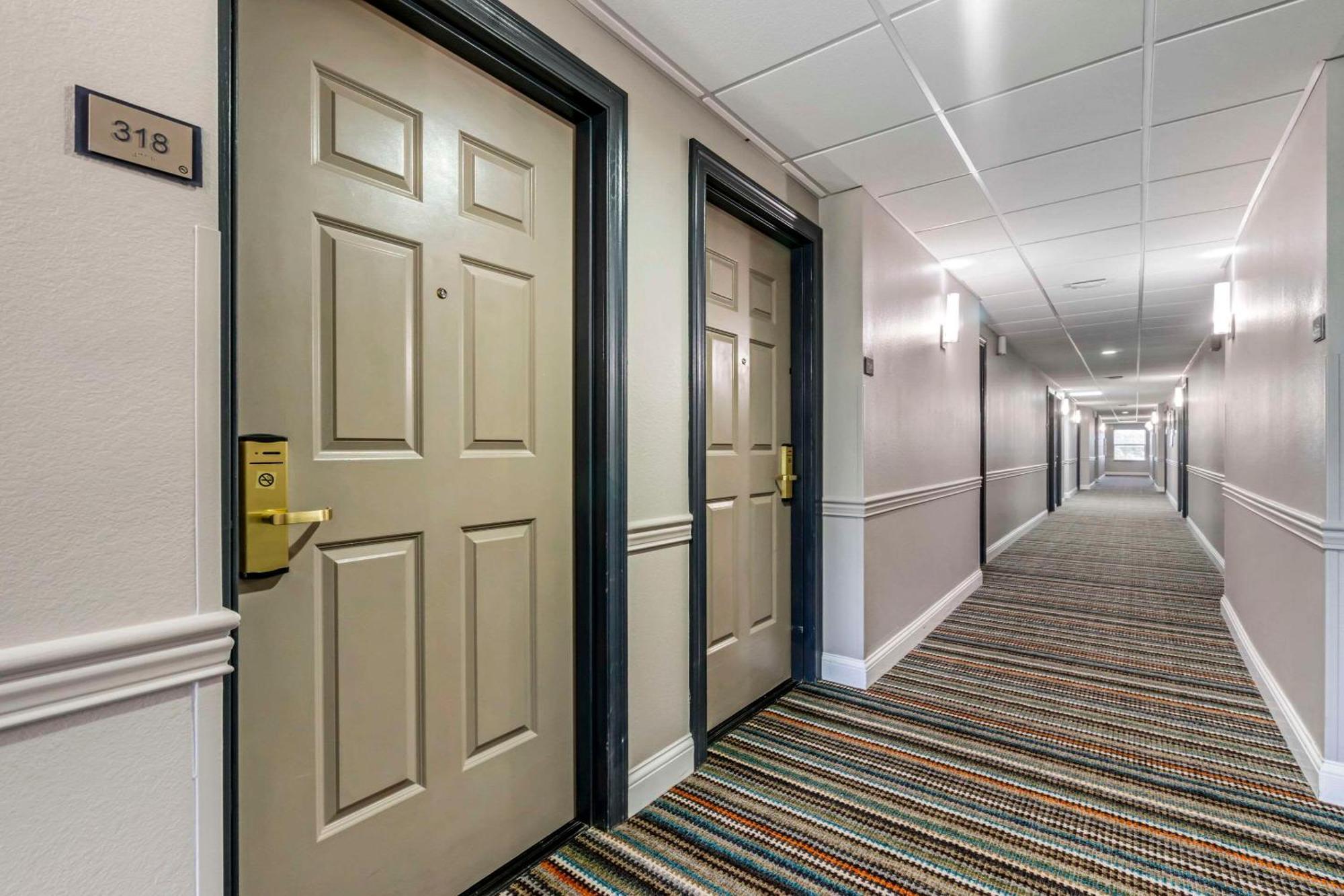 Country Inn & Suites By Radisson, Tampa Airport North, Fl Bagian luar foto