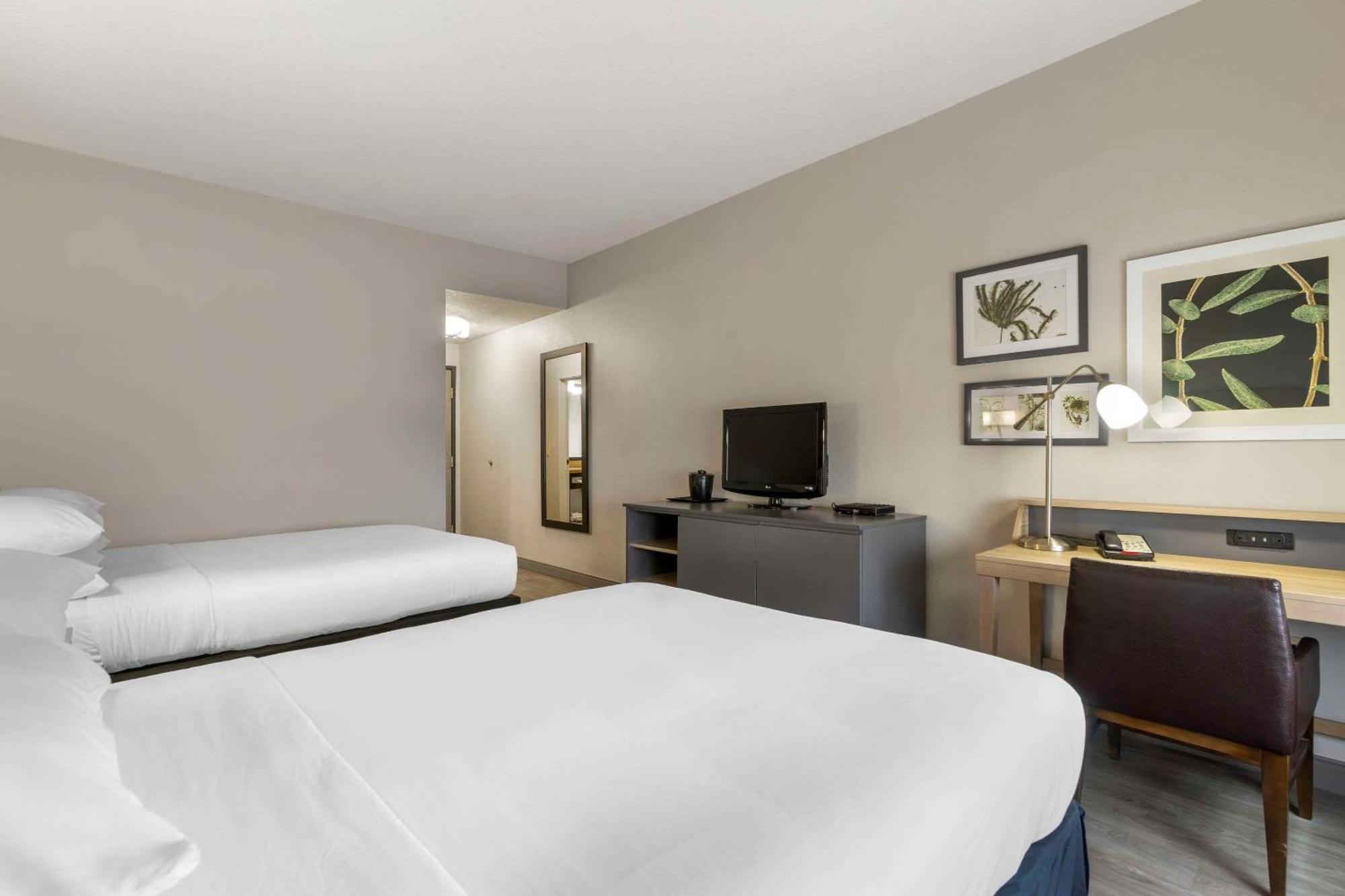Country Inn & Suites By Radisson, Tampa Airport North, Fl Bagian luar foto