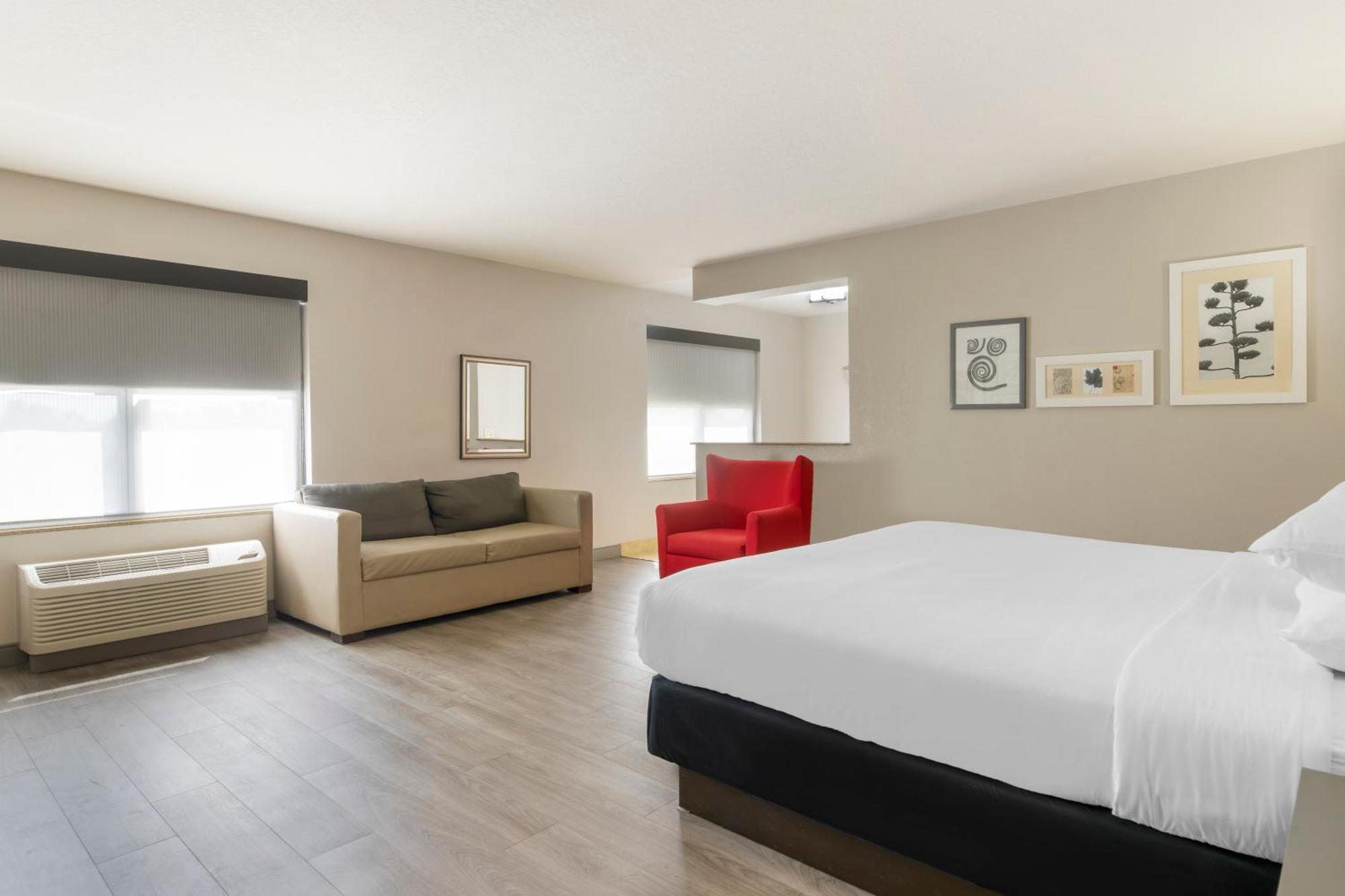 Country Inn & Suites By Radisson, Tampa Airport North, Fl Bagian luar foto