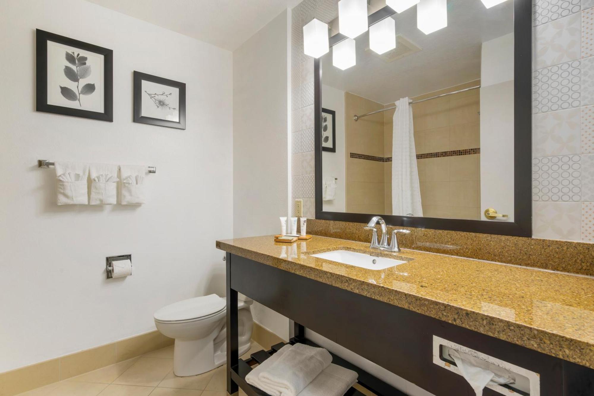 Country Inn & Suites By Radisson, Tampa Airport North, Fl Bagian luar foto
