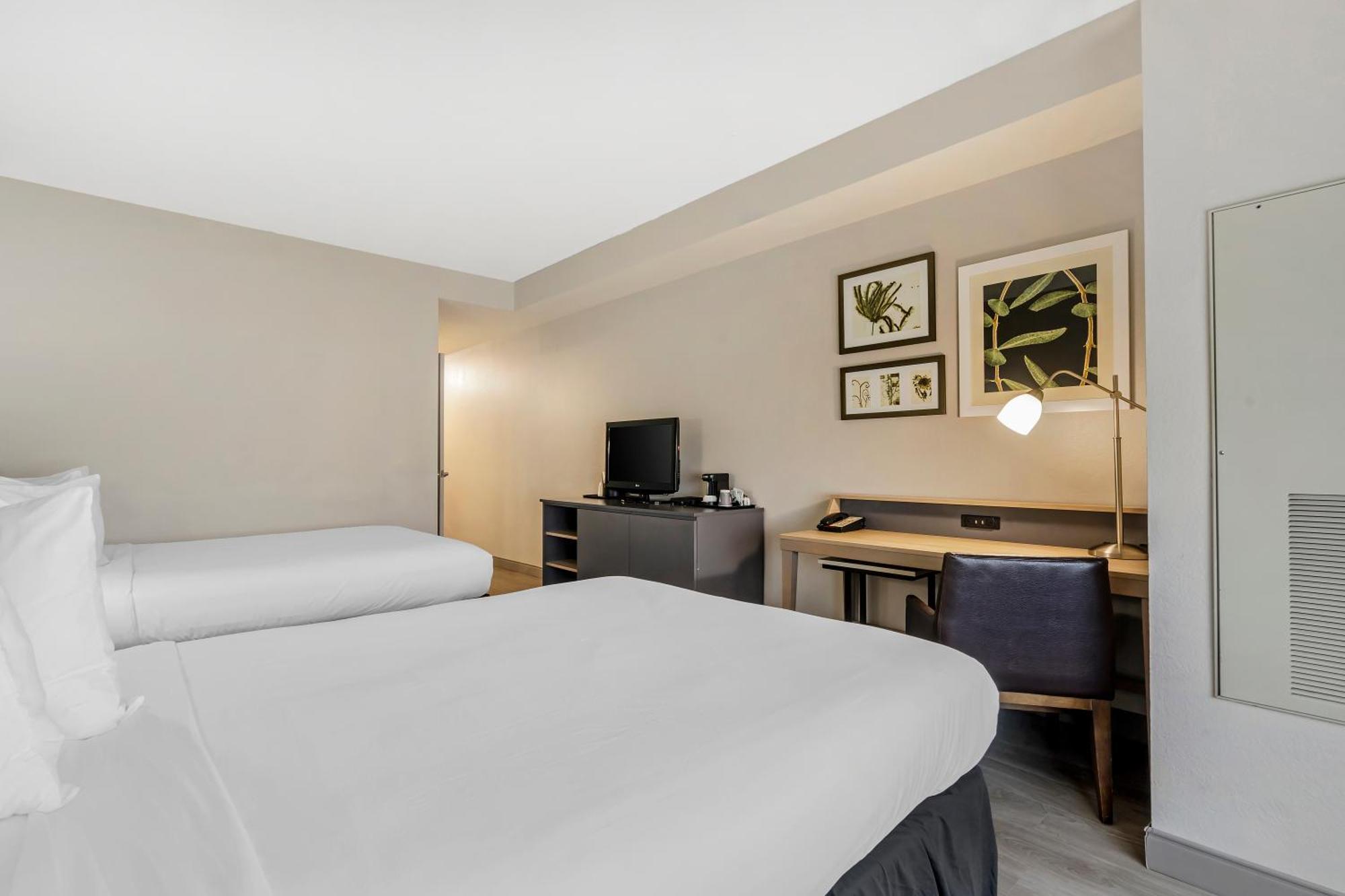 Country Inn & Suites By Radisson, Tampa Airport North, Fl Bagian luar foto